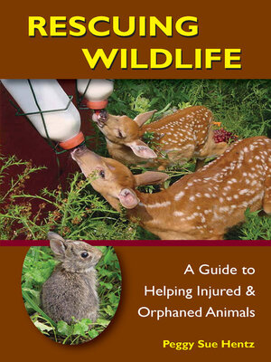 cover image of Rescuing Wildlife